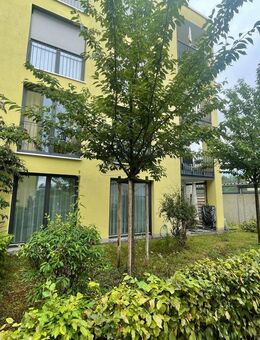 Wohnen für Senioren ab 60+ Jahren- Am Sonnenfeld in Sachsenheim! - Sachsenheim