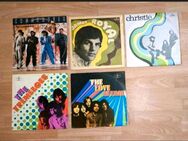Rock LP/Hip-Hop Rap/Reggae/Deutschrock u.a. Vinyl Schallplatten - Leipzig Nordost