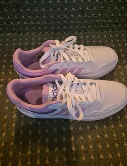 Adidas Original Sneakers - Nindorf (Landkreis Rendsburg-Eckernförde)