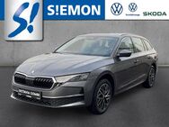 Skoda Octavia, 2.0 TDI Selection, Jahr 2024 - Ibbenbüren