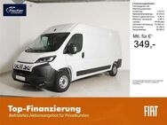 Fiat Ducato, 140 MT L3H2 KaWa verblecht, Jahr 2022 - Pilsach