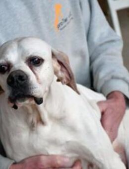 Amarena hat etwas Glück verdient - Neuss