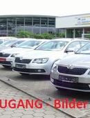 Skoda Kamiq Ambition wenig Kilometer in 03172