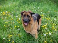 FLORA - mit Freude und Liebe in Familie - Overath