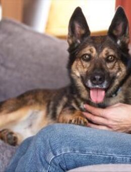 Wundervolle Eva sucht ihre Familie - Duisburg