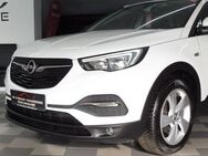 Opel Grandland X 1.2 Edition Aut/ Kam/Nav/Sitz-Hz/1.H - Bünde