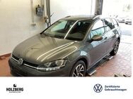 VW Golf Variant, 1.6 TDI Golf VII Join, Jahr 2019 - Braunschweig