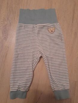 Steiff Hose 68 - Halberstadt