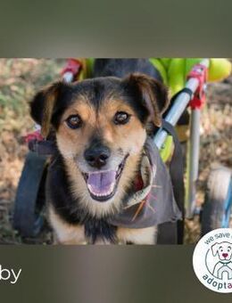 Roby Einschränkung? Nein, danke! - Kirchzell