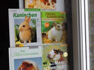 Kaninchen Zwergkaninchen Meerschweinchen Hamster Gräfe und Unzer GU Tier-Ratgeber 5 Bücher zus. 7,- - Flensburg
