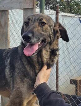 ISKRA ❤ - Langenhagen