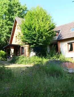 Ihr neues mod. Anwesen mit Privatweg, großem Garten und Baumbestand! Viel Gemütlichkeit und Ruhe! - Hameln