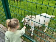 Kinderglück in Ihrem Traumhaus! Jetzt mit Festpreisgarantie! - Neustadt (Wied)