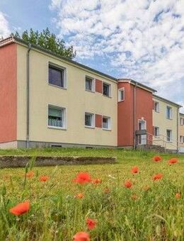 Möbel rein und glücklich sein! - Braunschweig