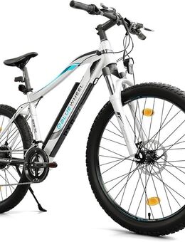 E-Mountainbike Bluewheel BXB75 weiß 29 Zoll - Waiblingen