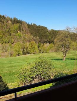 **SCHÖNE WOHNUNG MIT WEITBLICK IN LAUTENTHAL * EBK * BALKON * GARAGE ** - Langelsheim