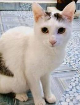 Schenkst du Rubeus dein Herz? - München