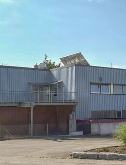 Renditewunder: Apartmenthaus mit Gewerbeeinheit - Böblingen