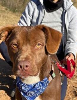 Angel ❤️ der Name ist Programm . - Hamburg