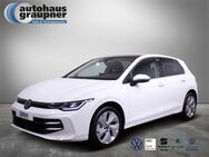 VW Golf, 1.5 TSI Life, Jahr 2022 - Brandis