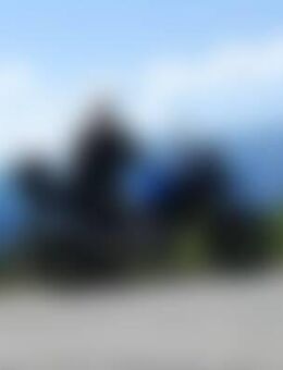 Ste*** - Waging (See)