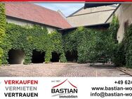 Historie inklusive: Ehem. Winzerhof als 2FH - Nebengebäude - idyllischer Hof - Garten - Mölsheim! - Mölsheim