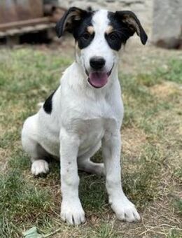 Hübsche - LARA - wie Müll entsorgt...... - Kempen