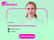Leitung Kämmerei / Finanzverwaltung (m/w/d) - Stadtverwaltung - Nürtingen