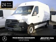 Mercedes Sprinter, 3olzfußboden, Jahr 2020 - Heide