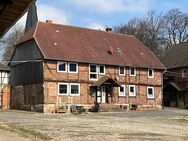 Dreiseitenhof in Winnigstedt mit historischer Architektur - Winnigstedt