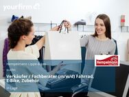 Verkäufer / Fachberater (m/w/d) Fahrrad, E-Bike, Zubehör - Lage (Nordrhein-Westfalen)