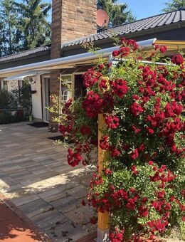 Ein Hauch von Schweden-Feeling in der Pfälzer Idylle - freistehender Bungalow mit toller Fernsicht! - Wolfstein