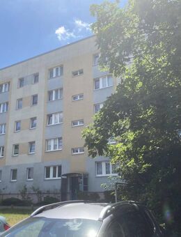 3-Raumwohnung in der Südstadt von Halle / S. - Halle (Saale)