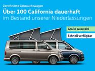 VW T6 California, 1 Ocean TDI Sideas, Jahr 2023 - Wildau