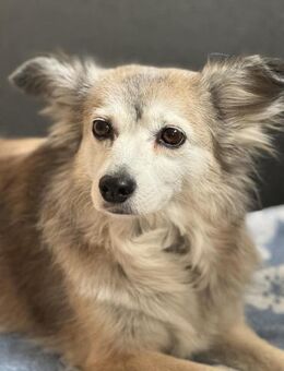 Sky - geht ins Herz - Elsdorf (Nordrhein-Westfalen)