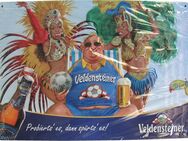 Veldensteiner Brauerei - Probierts´ es, dann spürts´ es - Blechschild 29,5 x 21 cm - Motiv 5 - Doberschütz