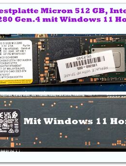 SSD Festplatte Micron 512 GB, Intern | M.2 2280 Gen.4 mit Windows 11 Home - Kaiserslautern