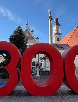 Charmante 3-Zi-Wohnung in ruhiger Lage - Freising