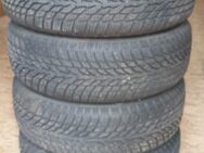 4 Winterreifen 185/65 R15 Nokian Tyres - Kirkel