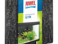 Juwel Strukturrückwand STR 600 (60 x 50 cm) - 1 Stück
