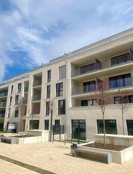 Bei VIVAWEST die Sonnenstrahlen auf der eigenen Terrasse genießen. - Mönchengladbach