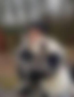 Ben*** - Großwallstadt