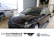 VW Golf, 1.5 TSI 8 VIII Life Stand, Jahr 2024 - Wolfsburg