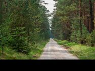 Möchte eine mit mir Wandern gehen ? - Nürnberg