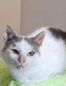 Eddie sucht seinen Alterswohnsitz - München