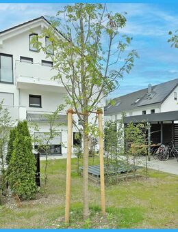 Traumhafte 3-Zimmer-Dachgeschosswohnung mit Charme und Komfort - inkl. 50 m2 ausgebauten Dachspitz!! - München