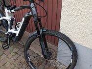 Haibike FullNine 8 E-Bike - Ailertchen