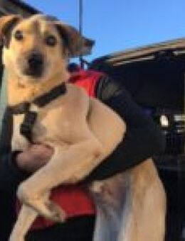 Laurin blind und so lebensfroh - Ludwigshafen (Rhein)