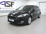 Ford Focus, Business # #Winter-P #, Jahr 2016 - Fürstenwalde (Spree)