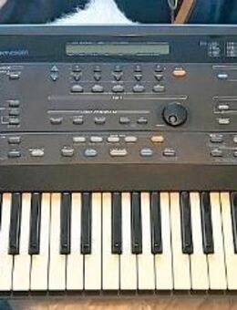 Profi Keyboard Roland E86 - Glashütten (Hessen)